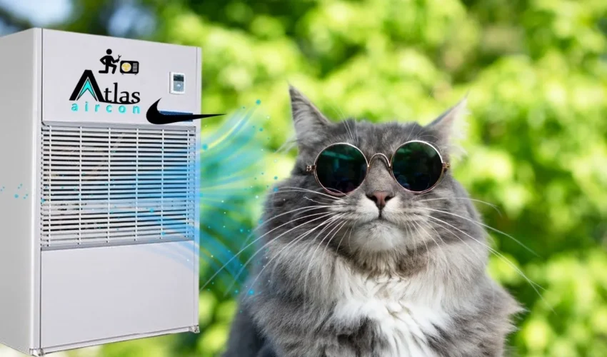 Package ac repair